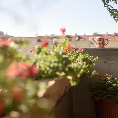 Basic Apartman Lejlighed Zadar Eksteriør billede